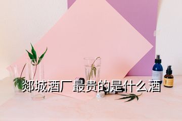 郯城酒廠最貴的是什么酒