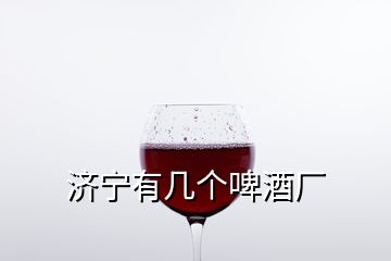 濟(jì)寧有幾個(gè)啤酒廠