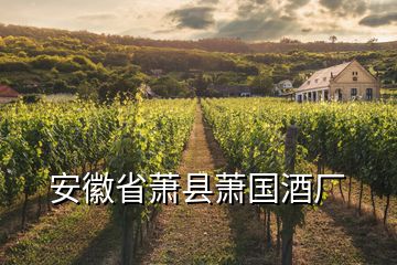 安徽省蕭縣蕭國酒廠