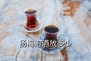 揚(yáng)梅泡酒放多少