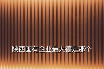 陜西國有企業(yè)最大德是那個