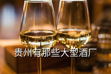 貴州有那些大型酒廠