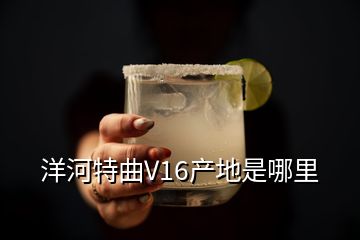 洋河特曲V16產(chǎn)地是哪里