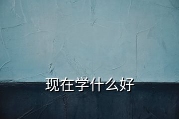 現(xiàn)在學什么好