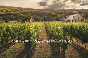 兄弟 請問2013年春運可以帶白酒不 最多能帶多少