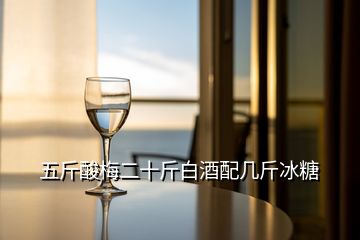 五斤酸梅二十斤白酒配幾斤冰糖