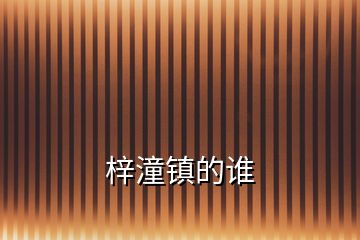 梓潼鎮(zhèn)的誰(shuí)