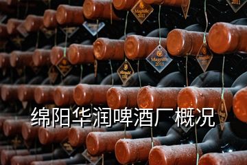 綿陽華潤啤酒廠概況