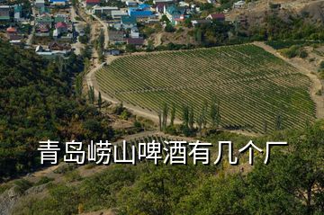 青島嶗山啤酒有幾個廠