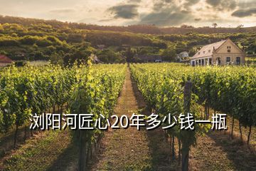 瀏陽河匠心20年多少錢一瓶