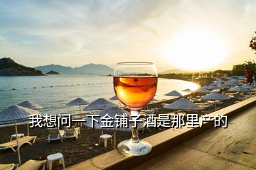 我想問一下金鋪?zhàn)泳剖悄抢锂a(chǎn)的