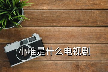 小唯是什么電視劇