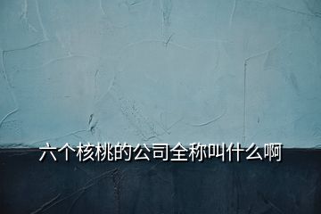 六個核桃的公司全稱叫什么啊