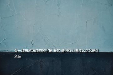 有一款白酒壇裝的名字是 五漿 請問有人喝過么全名是什么在