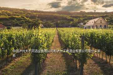 中國瀘州大不同酒業(yè)有限公司和瀘州江南酒業(yè)有限公司是什么關系