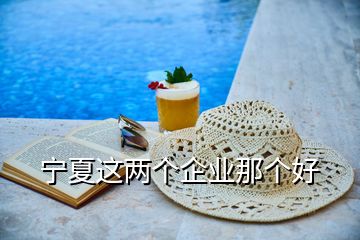 寧夏這兩個(gè)企業(yè)那個(gè)好