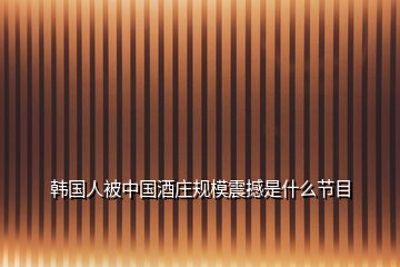 韓國(guó)人被中國(guó)酒莊規(guī)模震撼是什么節(jié)目