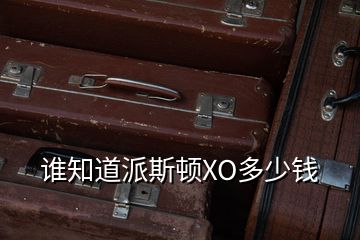 誰知道派斯頓XO多少錢