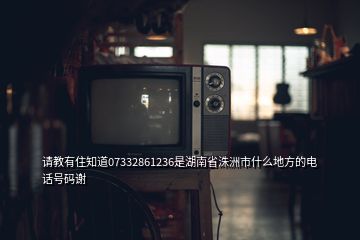 請教有住知道07332861236是湖南省洙洲市什么地方的電話號碼謝