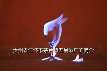 貴州省仁懷市茅臺鎮(zhèn)五星酒廠的簡介