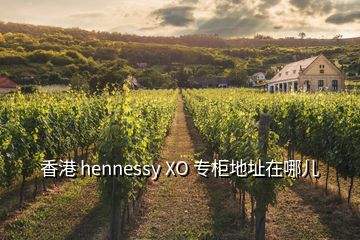 香港 hennessy XO 專柜地址在哪兒