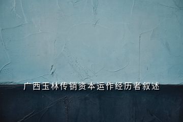 廣 西 玉 林 傳 銷 資 本 運 作 經(jīng) 歷 者 敘 述