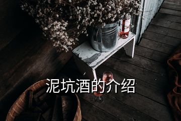 泥坑酒的介紹