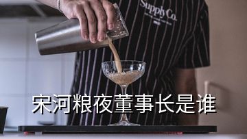 宋河糧夜董事長(zhǎng)是誰