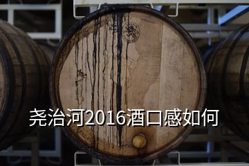 堯治河2016酒口感如何