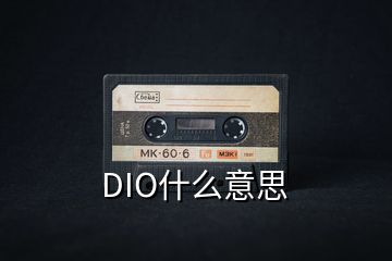 DIO什么意思