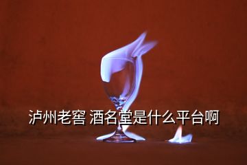 瀘州老窖 酒名堂是什么平臺啊