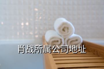 肖戰(zhàn)所屬公司地址