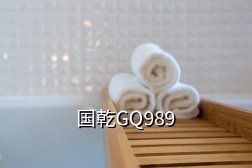 國乾GQ989