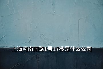 上海河南南路1號17樓是什么公司