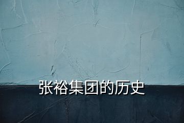 張?jiān)＜瘓F(tuán)的歷史