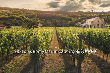 1998Louis Remy Martin Caberne 有效期多長