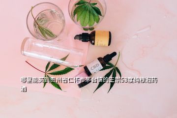 哪里能買到貴州省仁懷市茅臺鎮(zhèn)的正宗53度純糧泡藥酒