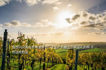 我想問問青島黑啤酒那個廠子生產(chǎn)的最正宗啊送禮的啊 不想送成假冒