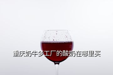 重慶奶牛夢工廠的酸奶在哪里買