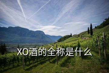 XO酒的全稱(chēng)是什么