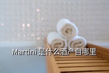 Martini 是什么酒產(chǎn)自哪里