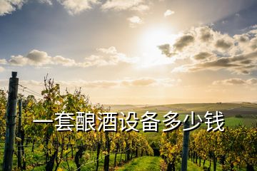 一套釀酒設(shè)備多少錢