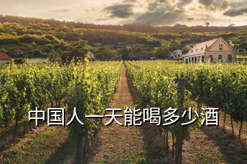 中國(guó)人一天能喝多少酒