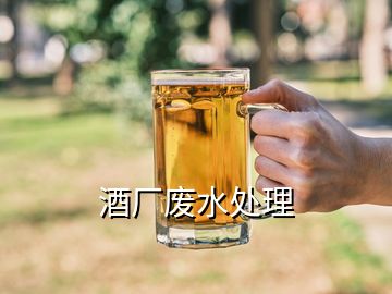 酒廠(chǎng)廢水處理