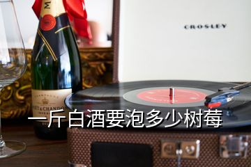 一斤白酒要泡多少樹(shù)莓