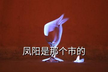 鳳陽(yáng)是那個(gè)市的