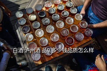 白酒 瀘州酒 品9 多少錢品質(zhì)怎么樣