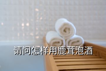 請(qǐng)問怎樣用鹿茸泡酒