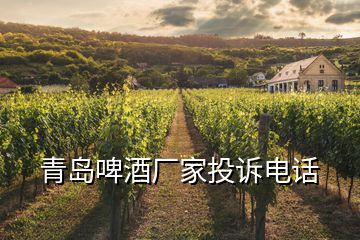 青島啤酒廠家投訴電話