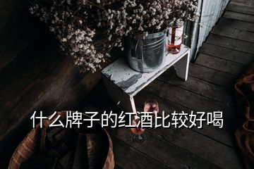 什么牌子的紅酒比較好喝